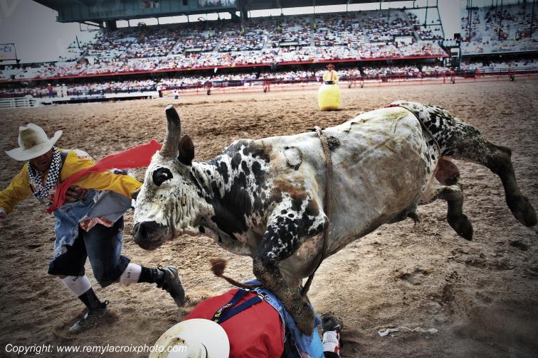 Bull riding Cheyenne Frontier Days Rodeo Wyoming USA www.remylacroixphoto.com