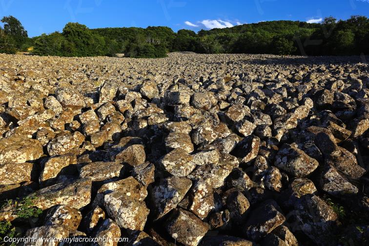 Clapas de Thubi�s Aveyron Occitanie France www.remylacroixphoto.com