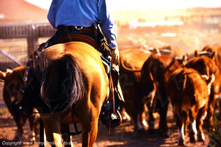 Big Bend Hughes Ranch rassemblement Texas USA www.remylacroixphoto.com