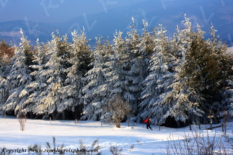 Plateau de la Verrerie rando raquettes Allier Auvergne France