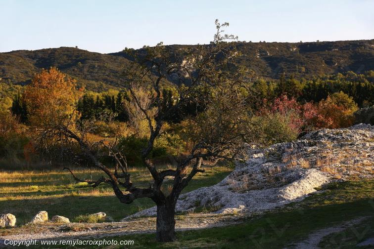 Chapelle Saint Sixte d'Eygali�res Alpilles Bouches du Rh�ne Provence Alpes C�te d'Azur France www.remylacroixphoto.com
