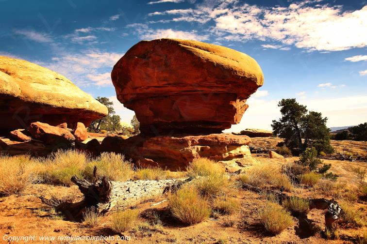 The Needles Canyonlands National Park Utah USA www.remylacroixphoto.com