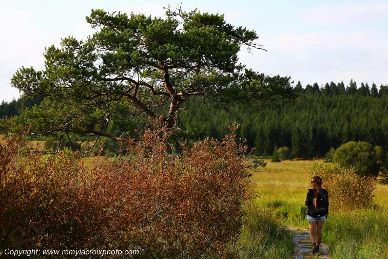 Tourbi�re du Long�roux randonn�e Corr�ze Limousin  Nouvelle Aquitaine France www.remylacroixphoto.com