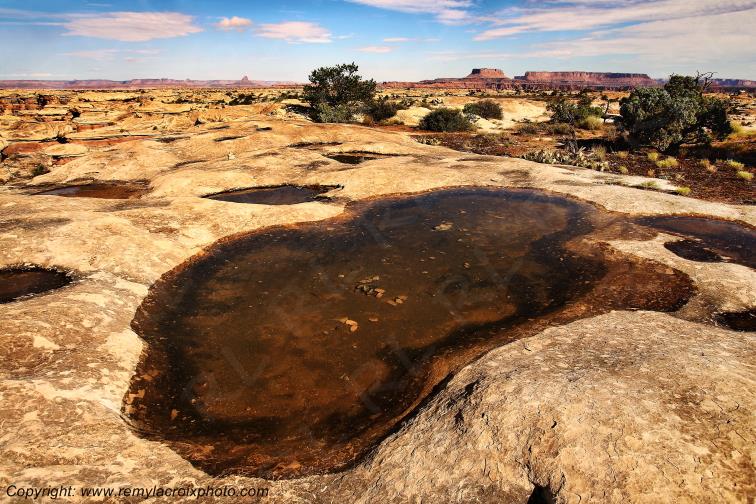 The Needles Canyonlands National Park Utah USA www.remylacroixphoto.com