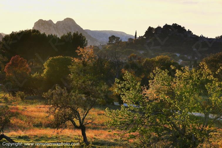 Eygali�res Alpilles Bouches du Rh�ne Provence Alpes C�te d'Azur France www.remylacroixphoto.com