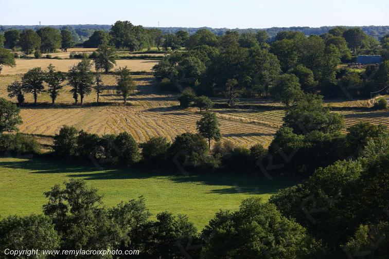 Lys Saint Georges Indre Berry Centre Val de Loire France www.remylacroixphoto.com