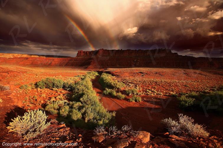 Comb Ridge Mexican Hat Utah USA