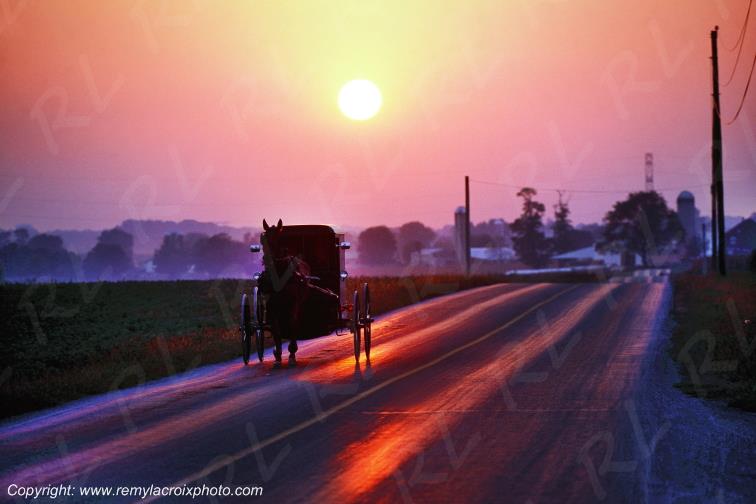 Lancaster Dutch County Amish Buggy Pennsylvania Pennsylvanie USA ww.remylacroixphoto.com