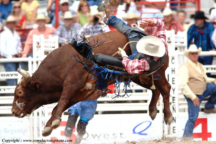 Rodeo Cheyenne Frontier Days bull-riding Wyoming USA www.remylacroixphoto.com