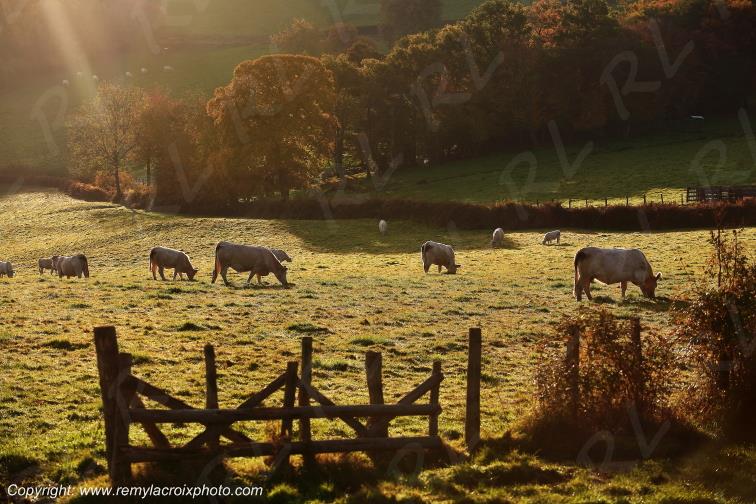Mont Beuvray Morvan Ni�vre Bourgogne Franche Comt� France www.remylacroixphoto.com
