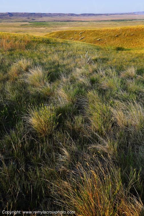 Grasslands National Park West Great Plains Grandes Plaines Saskatchewan Canada www.remylacroixphoto.com