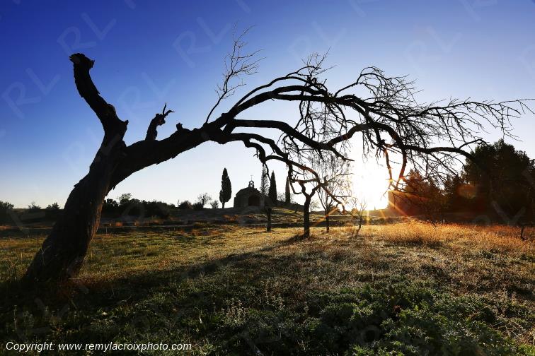 Chapelle Saint Sixte d'Eygali�res Alpilles Bouches du Rh�ne Provence Alpes C�te d'Azur France www.remylacroixphoto.com
