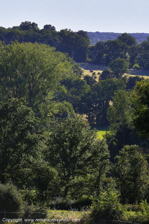 Lys Saint Georges Indre Berry Centre Val de Loire France www.remylacroixphoto.com