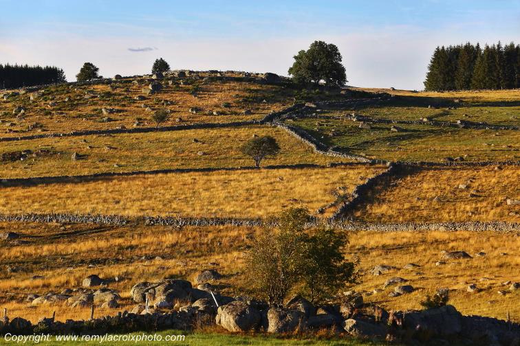 Marchastel Aubrac Loz�re Languedoc-Roussillon Occitanie France www.remylacroixphoto.com