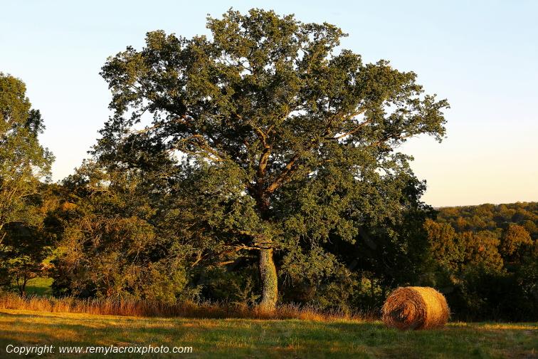 Tranzault Val de Bouzanne Indre Berry Centre Val de Loire France www.remylacroixphoto.com