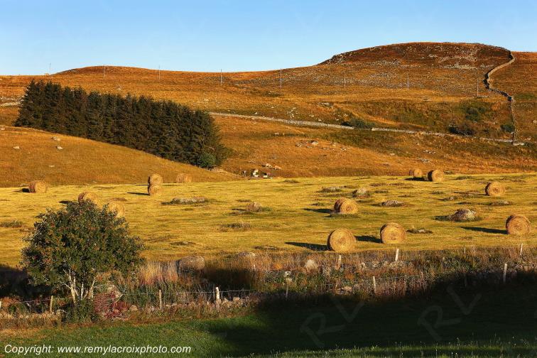 Marchastel Aubrac Loz�re Languedoc-Roussillon Occitanie France www.remylacroixphoto.com