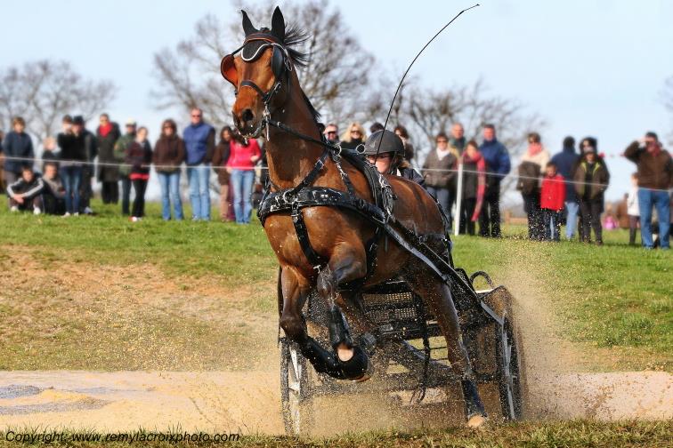 Attelages Championnat de France Attelage P�le du cheval et de l'�ne Ligni�res Cher Berry France www.remylacroixphoto.com