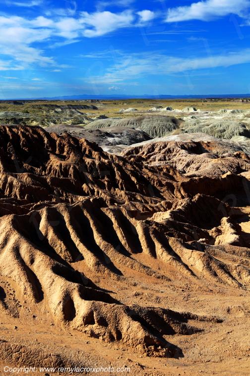 Petrified Forest National Park Arizona USA