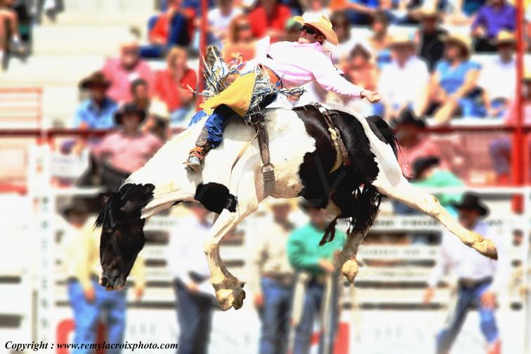 Rodeo Cheyenne Frontier Days bareback-bronc Wyoming USA