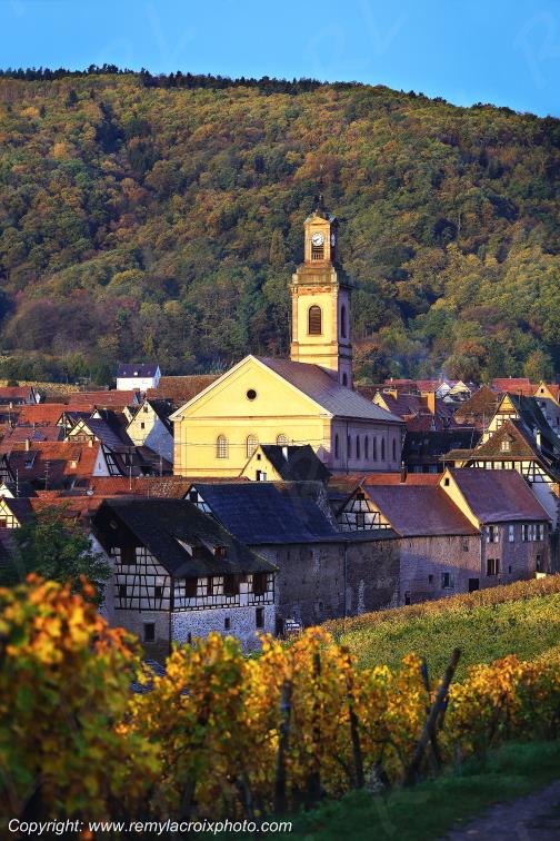 Riquewhir vignoble Haut-Rhin Alsace France www.remylacroixphoto.com