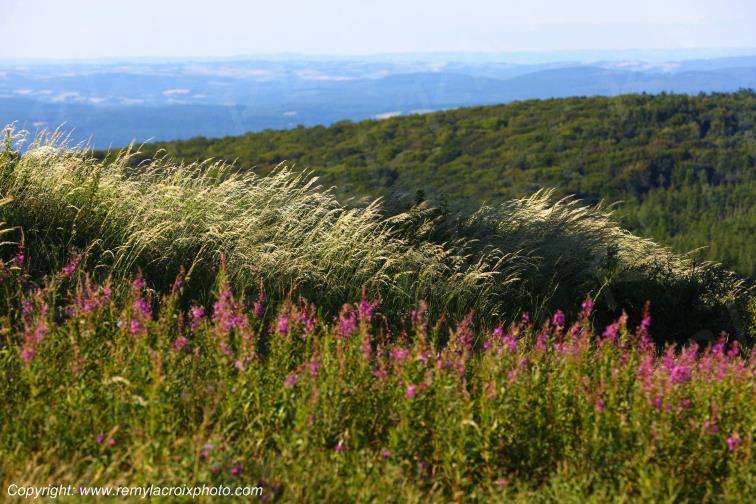 Pic de Nore Aude France