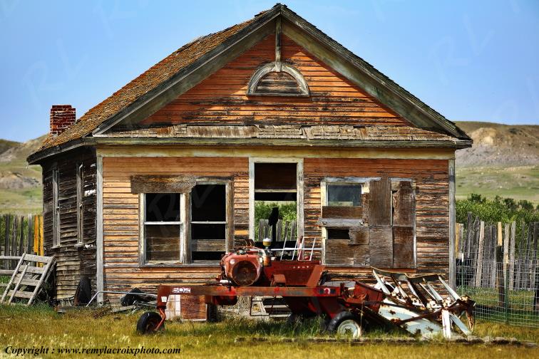 Grand Duc d'Am�rique Val Marie Great Plains Grandes Plaines Saskatchewan Canada www.remylacroixphoto.com