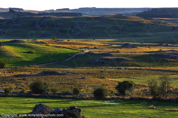 Marchastel Aubrac Loz�re Languedoc-Roussillon Occitanie France www.remylacroixphoto.com