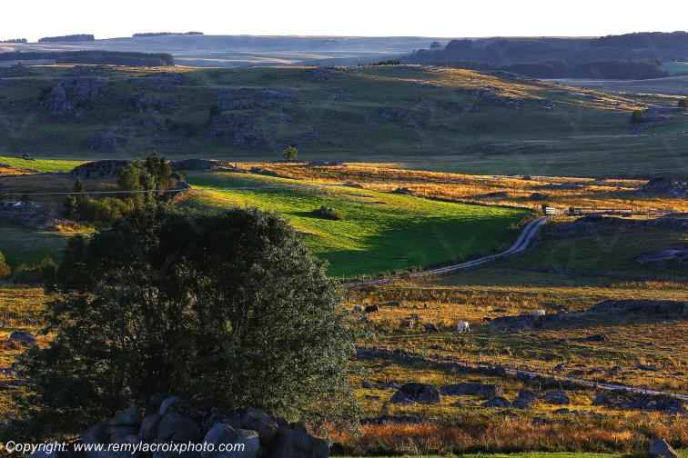 Marchastel Aubrac Loz�re Languedoc-Roussillon Occitanie France www.remylacroixphoto.com