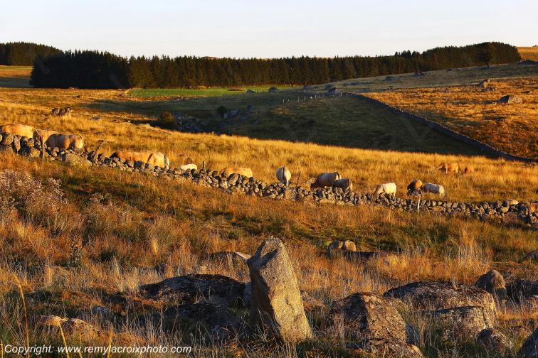 Marchastel Aubrac Loz�re Languedoc-Roussillon Occitanie France www.remylacroixphoto.com