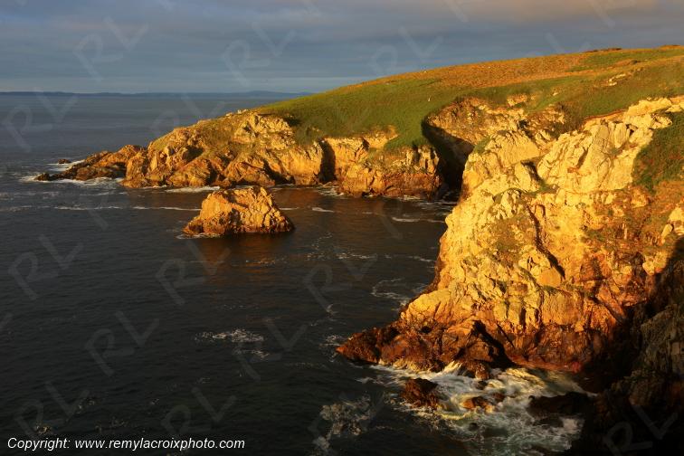 R�serve Naturelle du Cap Sizun Finist�re Bretagne France www.remylacroixphoto.com