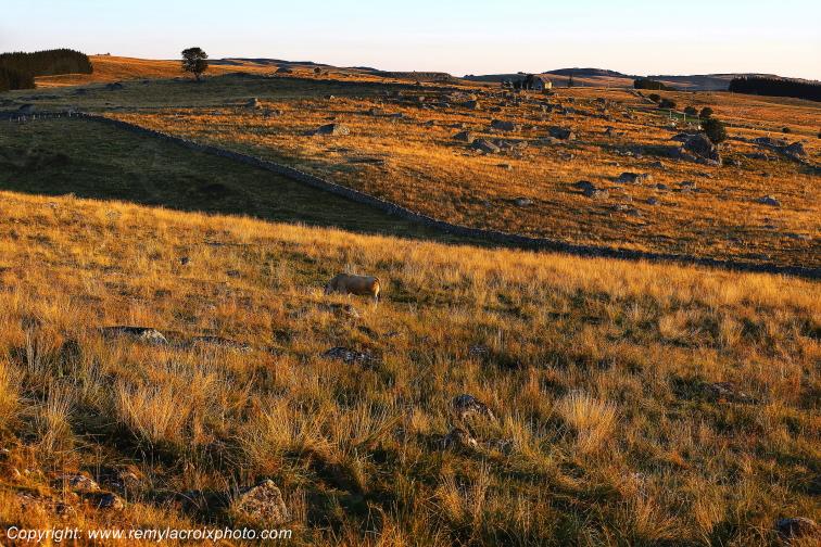 Marchastel Aubrac Loz�re Languedoc-Roussillon Occitanie France www.remylacroixphoto.com