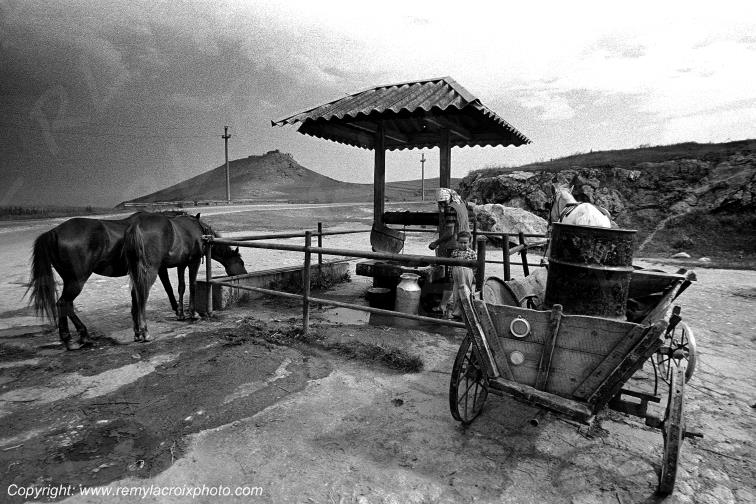 Corv�e d'eau au puit,delta du Danube,Roumanie