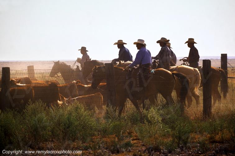 Big Bend Hughes Ranch rassemblement Texas USA www.remylacroixphoto.com