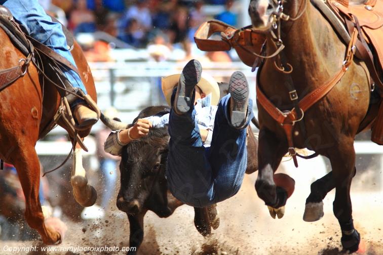 Rodeo Cheyenne Frontier Days steer-wrestling Wyoming USA www.remylacroixphoto.com