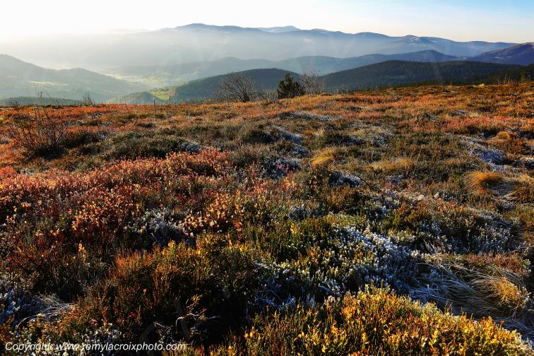 Gazon du Faing Route des Cr�tes Vosges Lorraine Grand-Est France www.remylacroixphoto.com