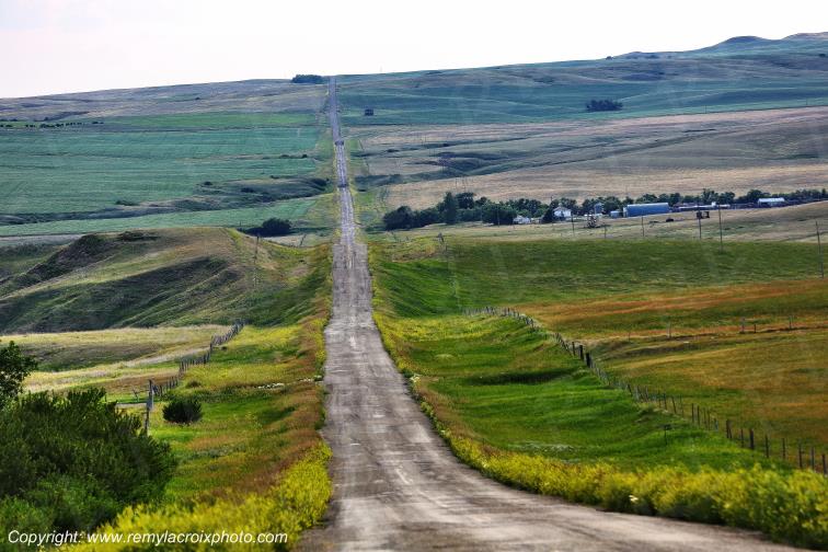 Big Beaver Great Plains Grandes Plaines Saskatchewan Canada www.remylacroixphoto.com
