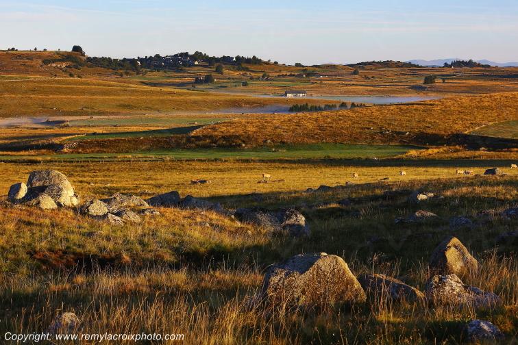 Marchastel Aubrac Loz�re Languedoc-Roussillon Occitanie France www.remylacroixphoto.com
