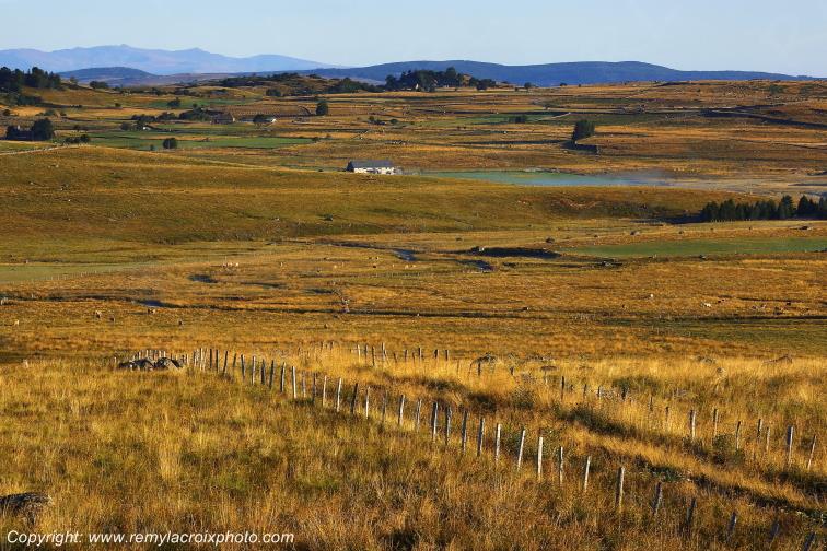 Marchastel Aubrac Loz�re Languedoc-Roussillon Occitanie France www.remylacroixphoto.com