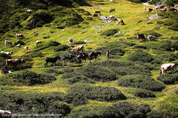 Nufenenpass Tessin Suisse Swiss Switzerland www.remylacroixphoto.com