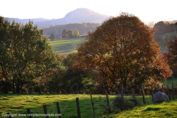 Saint L�ger sous Beuvray Morvan Sa�ne et Loire Bourgogne Franche Comt� France www.remylacroixphoto.com