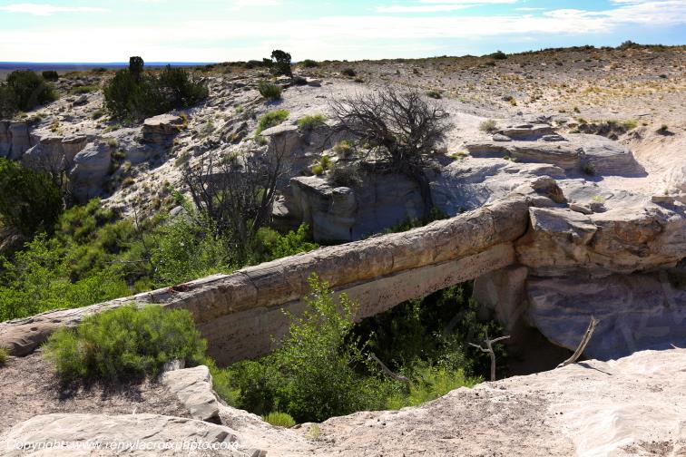 Agate Bridge Petrified Forest National Park Arizona USA
