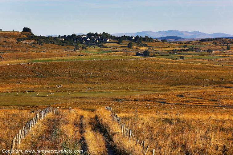 Marchastel Aubrac Loz�re Languedoc-Roussillon Occitanie France www.remylacroixphoto.com