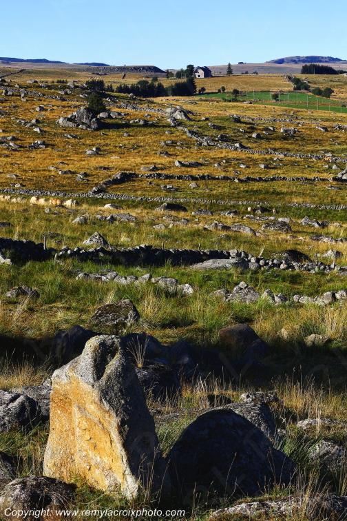 Marchastel Aubrac Loz�re Languedoc-Roussillon Occitanie France www.remylacroixphoto.com