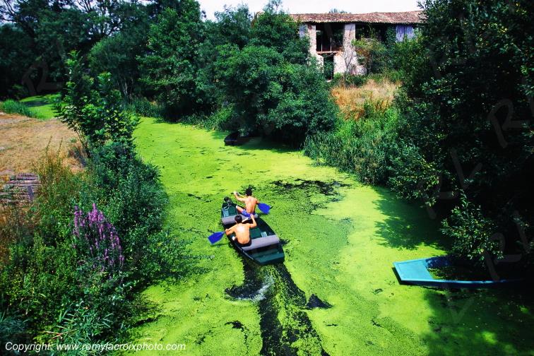 Marais Poitevin Deux-S�vres Poitou Charentes France www.remylacroixphoto.com