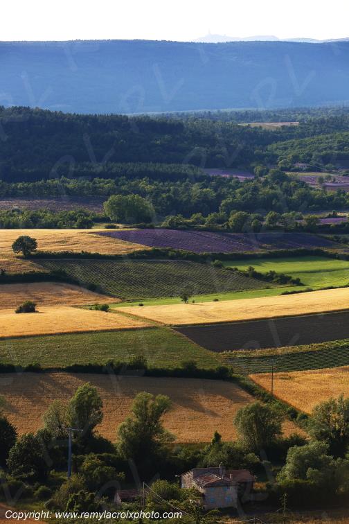 Sault Lub�ron Vaucluse Provence Alpes C�te d'Azur PACA France www.remylacroixphoto.com