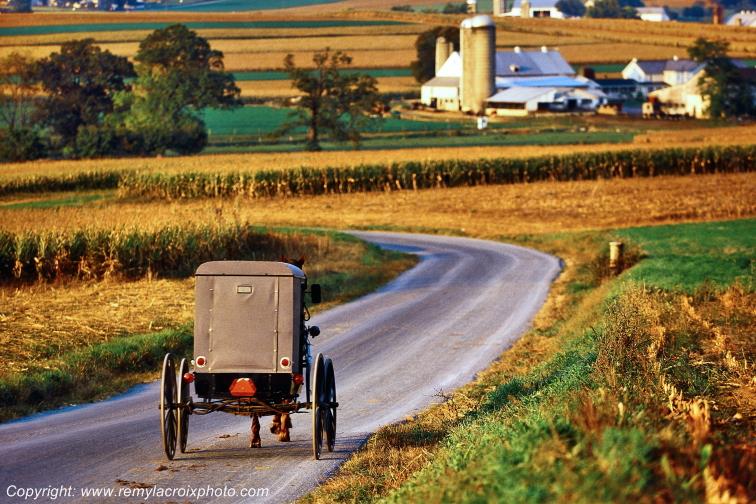 Lancaster Dutch County Amish Buggy Pennsylvania Pennsylvanie USA ww.remylacroixphoto.com