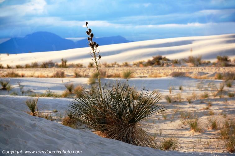 White Sands National Monument New-Mexico USA www.remylacroixphoto.com