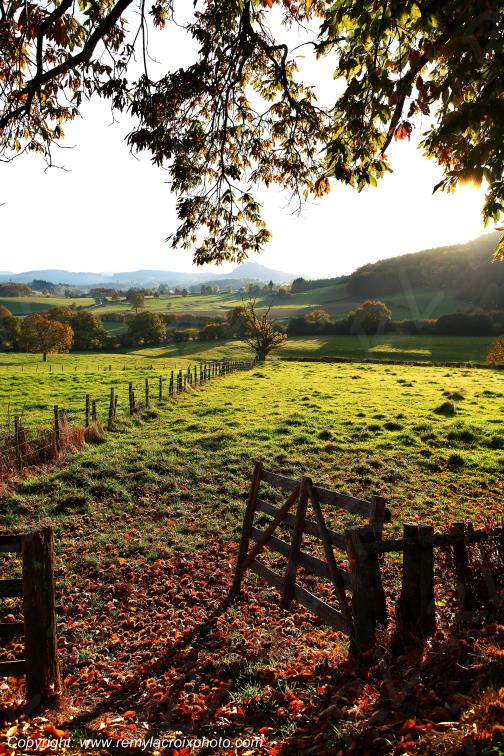 Saint L�ger sous Beuvray Morvan Sa�ne et Loire Bourgogne Franche Comt� France www.remylacroixphoto.com