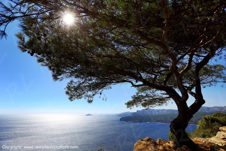 Route des Cr�tes Cap Canaille Bouches du Rh�ne Provence Alpes C�te d'Azur France www.remylacroixphoto.com