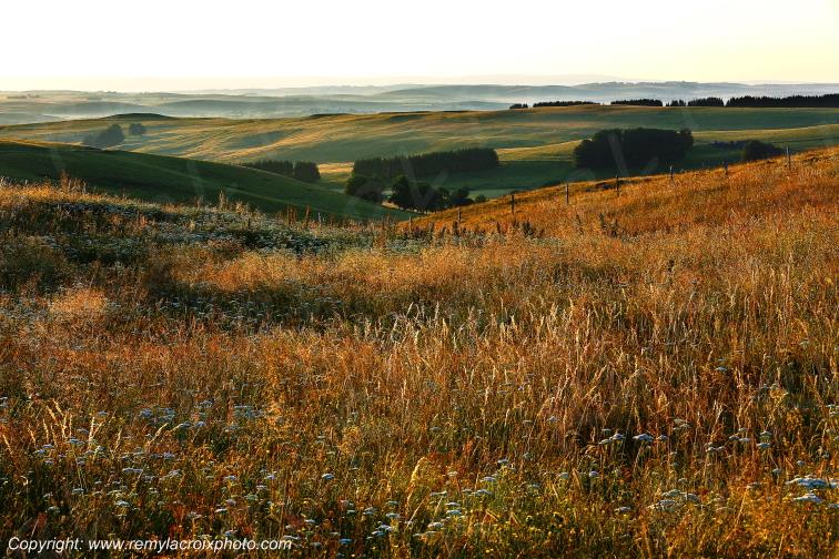 Col de la Matte Aubrac Cantal Auvergne Rh�ne-Alpes France www.remylacroixphoto.com